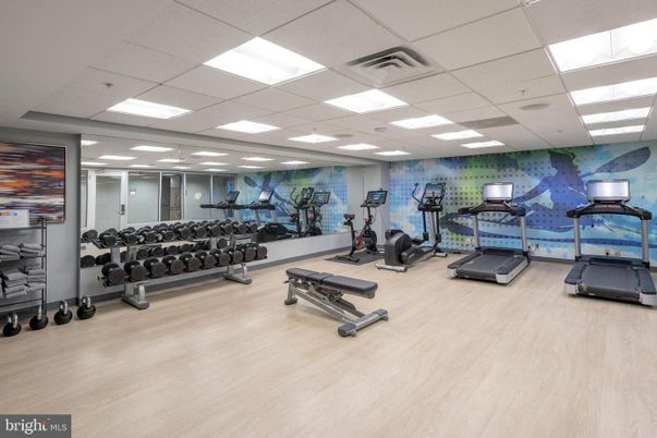 Fitness Equipment, Gym, Interior, Recessed Lighting, Wood Texture Flooring