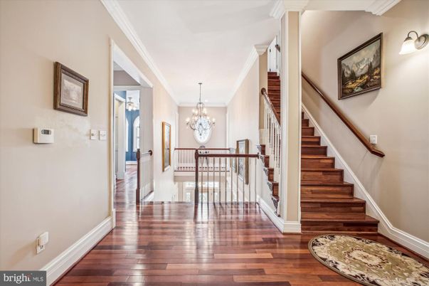 Chandelier, Interior, Wood Texture Flooring