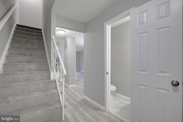 Interior, Marble, Wood Texture Flooring