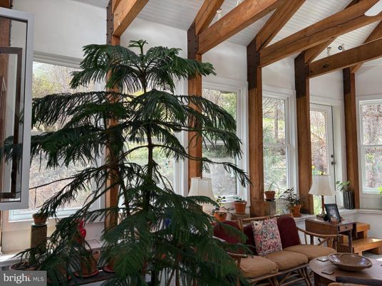 Interior, Wooden Beams