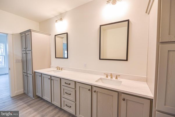 Bathroom, Dual Sink Vanities, Interior, Wood Texture Flooring