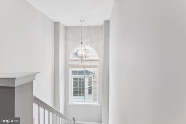 Interior, Pendant Lights
