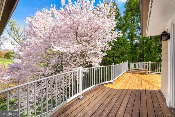 Exterior, Wood Texture Flooring