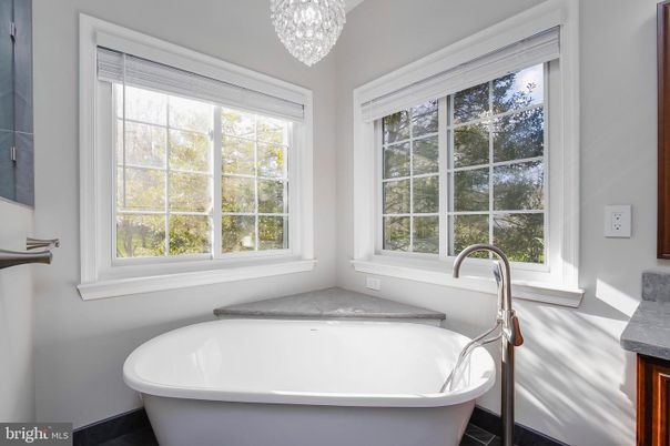 Bathroom, Chandelier, Free Standing Baths, Interior