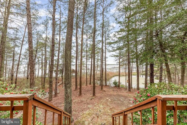 Backyard, Exterior, Water