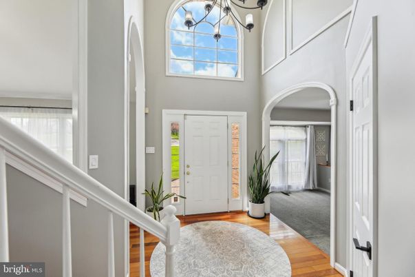 Chandelier, Interior, Wood Texture Flooring