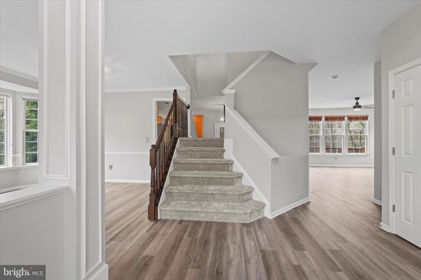 Interior, Wood Texture Flooring