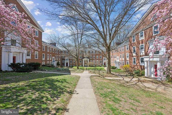 Backyard, Exterior, Facade, Brick Facade, Chicago School