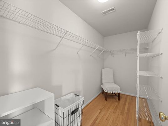 Interior, Walk-in Closets, Wood Texture Flooring