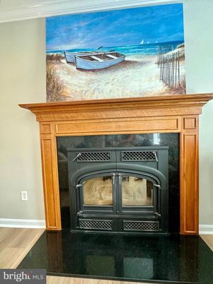 Fireplace, Interior, Wood Texture Flooring