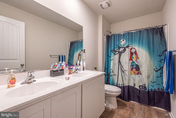 Bathroom, Dual Sink Vanities, Interior, Wood Texture Flooring