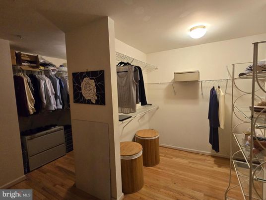 Interior, Walk-in Closets, Wood Texture Flooring