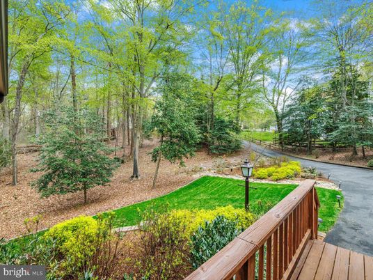 Backyard, Exterior, Water