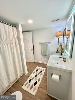 Bathroom, Interior, Recessed Lighting, Wood Texture Flooring