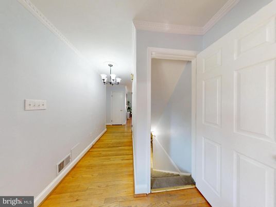 Chandelier, Interior, Wood Texture Flooring