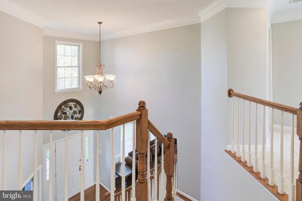 Chandelier, Interior, Wood Texture Flooring