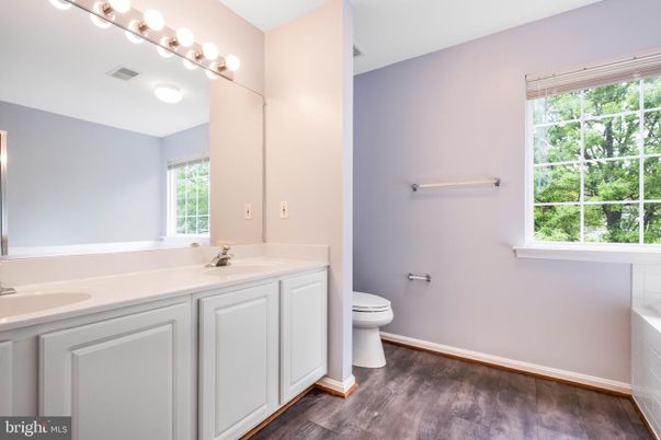 Bathroom, Dual Sink Vanities, Interior, Wood Texture Flooring
