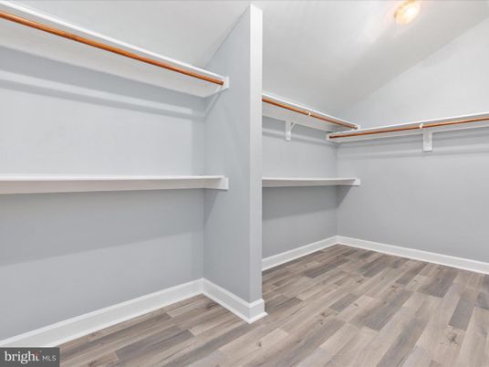 Interior, Walk-in Closets, Wood Texture Flooring