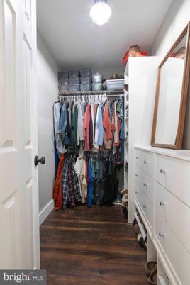 Interior, Walk-in Closets, Wood Texture Flooring