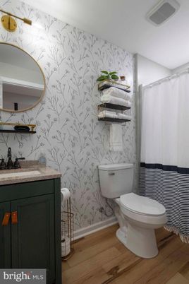 Bathroom, Interior, Wood Texture Flooring