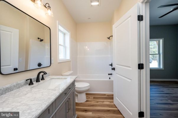 Bathroom, Interior, Wood Texture Flooring