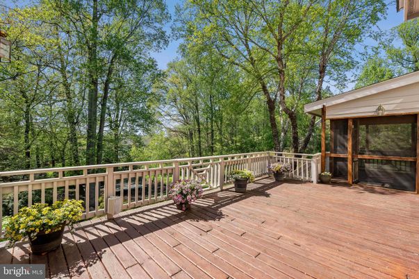 Exterior, Wood Texture Flooring
