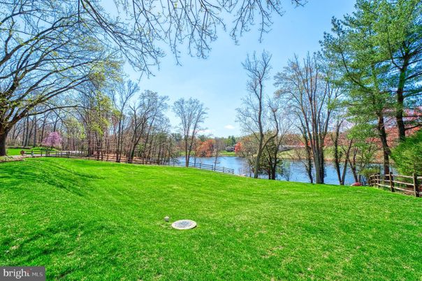 Backyard, Exterior, Water