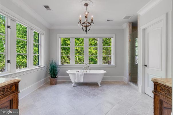 Bathroom, Chandelier, Free Standing Baths, Interior