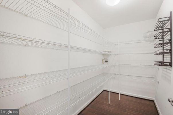 Interior, Walk-in Closets, Wood Texture Flooring