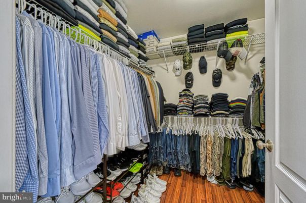 Interior, Walk-in Closets, Wood Texture Flooring