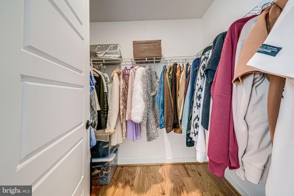 Interior, Walk-in Closets, Wood Texture Flooring