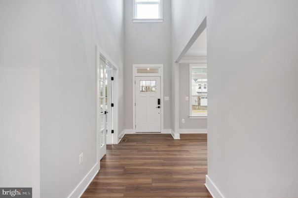 Interior, Wood Texture Flooring
