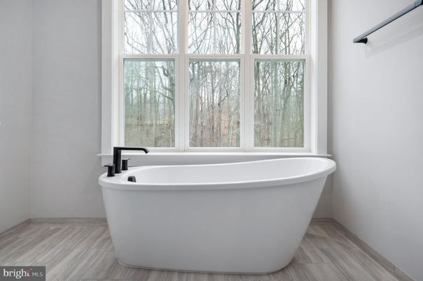 Bathroom, Free Standing Baths, Interior, Wood Texture Flooring