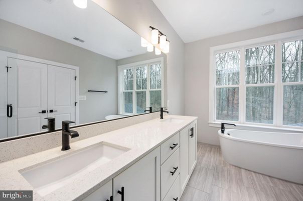 Bathroom, Dual Sink Vanities, Free Standing Baths, Interior