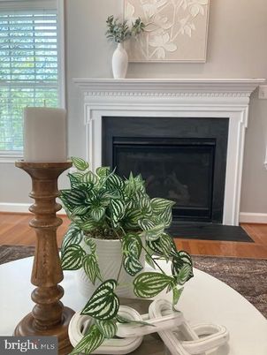 Fireplace, Interior, Wood Texture Flooring