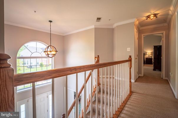 Interior, Pendant Lights