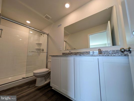 Bathroom, Glass Shower, Interior, Recessed Lighting, Wood Texture Flooring