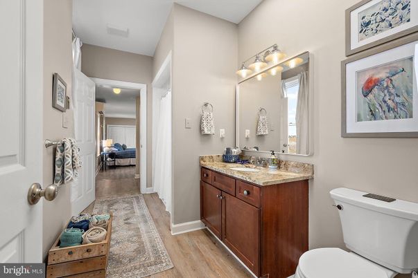 Bathroom, Interior, Wood Texture Flooring