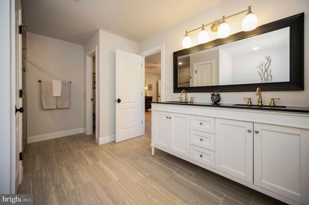 Bathroom, Dual Sink Vanities, Interior, Wood Texture Flooring