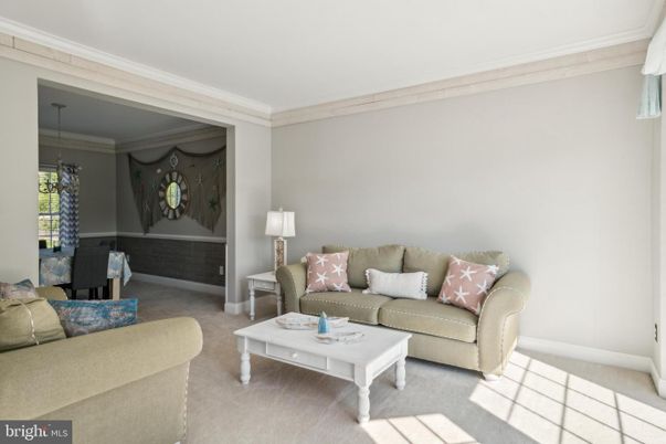 Interior, Living room, Pendant Lights
