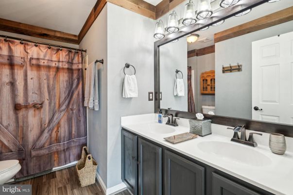 Bathroom, Dual Sink Vanities, Interior, Wood Texture Flooring