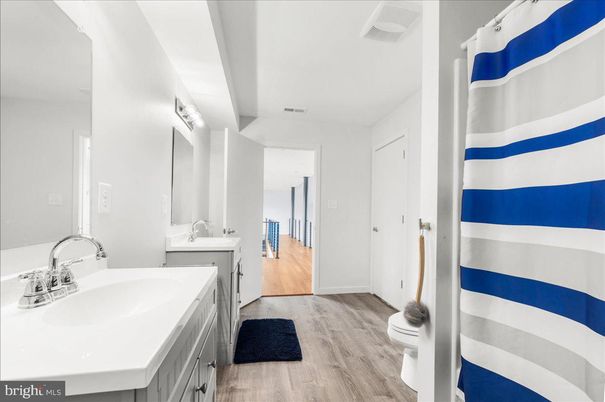 Bathroom, Interior, Wood Texture Flooring