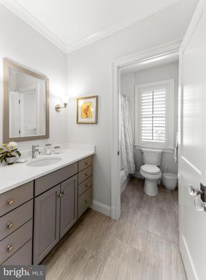 Bathroom, Dual Sink Vanities, Interior, Wood Texture Flooring
