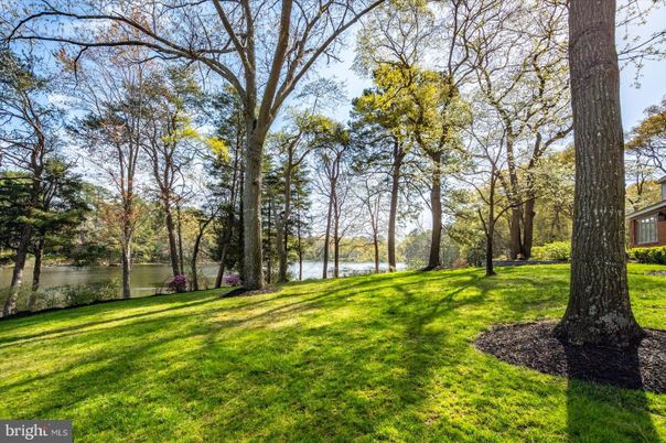 Backyard, Exterior, Water