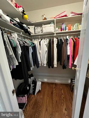 Interior, Walk-in Closets, Wood Texture Flooring