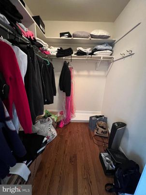 Interior, Walk-in Closets, Wood Texture Flooring