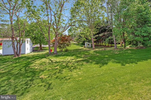 Backyard, Detached Garage, Exterior