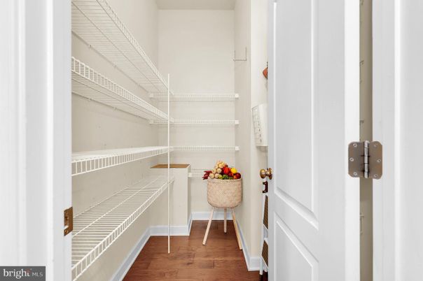 Interior, Walk-in Closets, Wood Texture Flooring