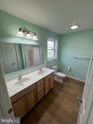 Bathroom, Dual Sink Vanities, Interior, Wood Texture Flooring
