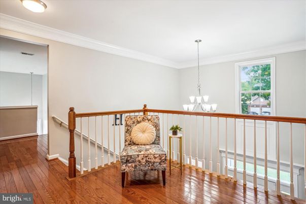 Chandelier, Interior, Wood Texture Flooring